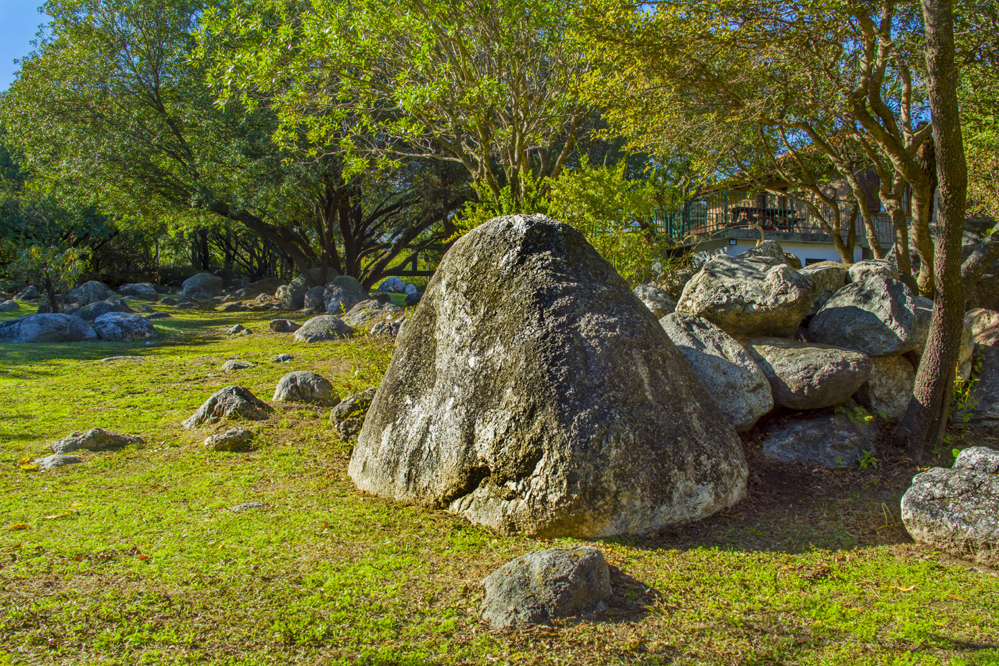 Parque